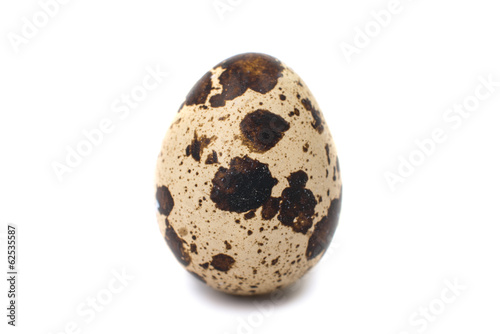 quail eggs