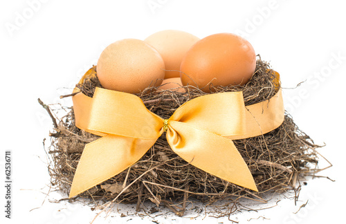 Nest with eggs