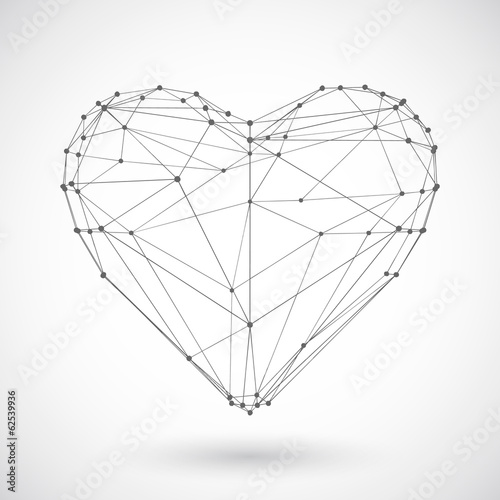 Heart mesh