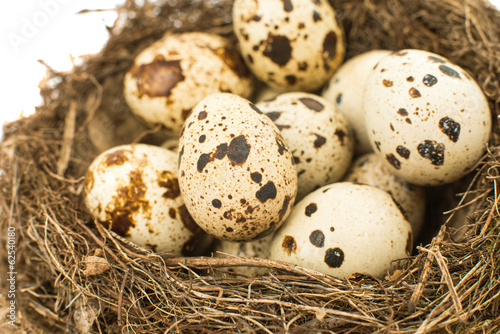 quail eggs
