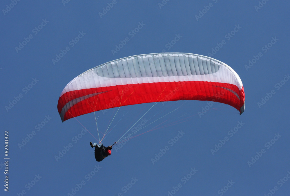 paraglider