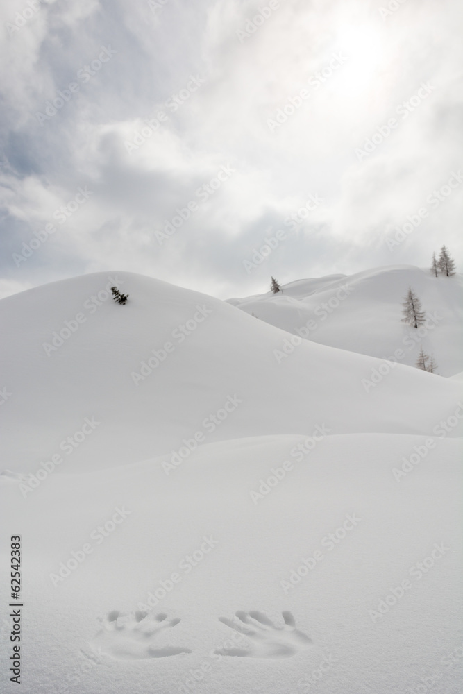 Hands on a snow