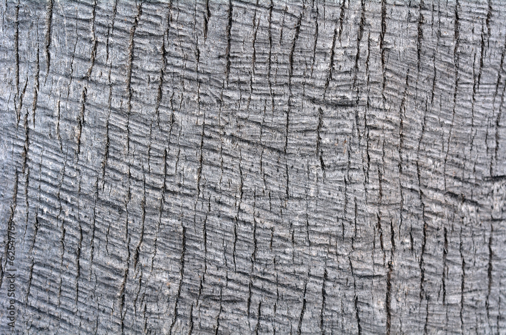 Fototapeta premium Palm tree trunk background texture