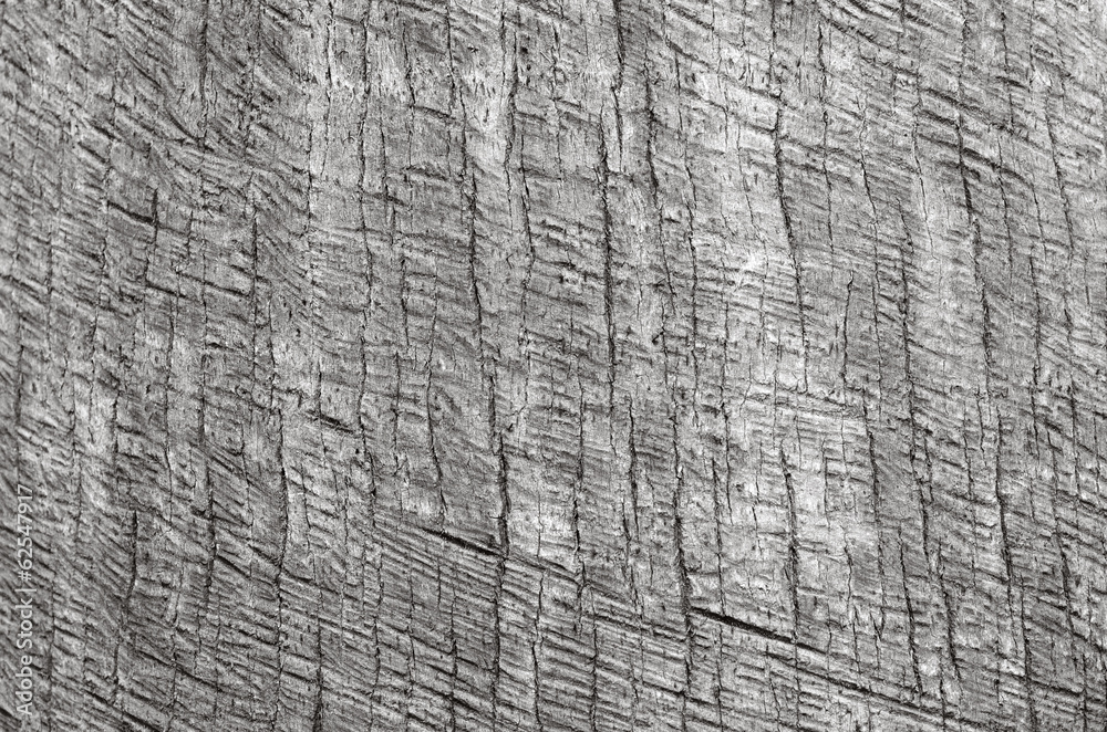 Fototapeta premium Palm tree trunk background texture