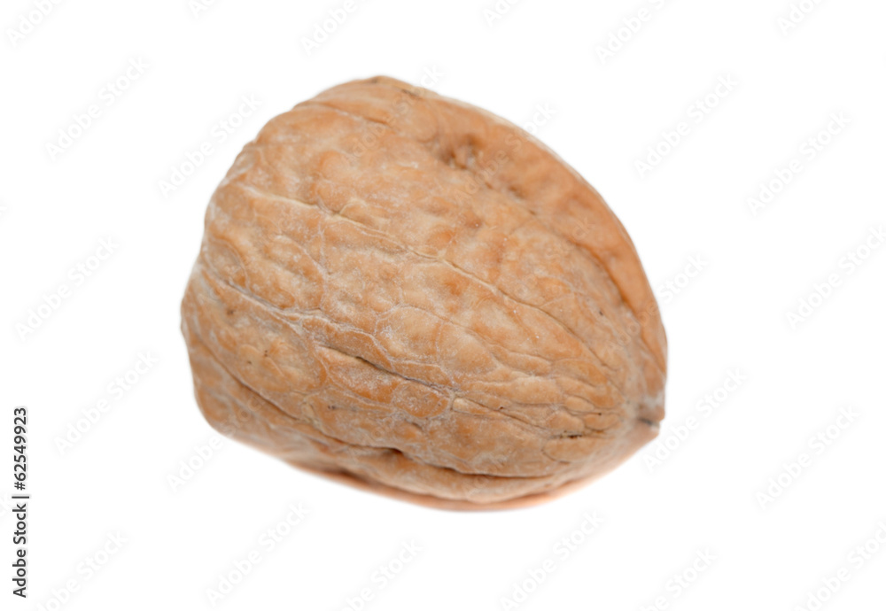 Single walnut isolated Single walnut isolated