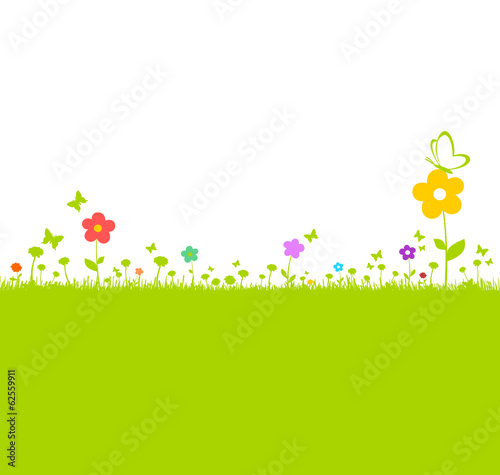 Grüne Bunte Blumenwiese