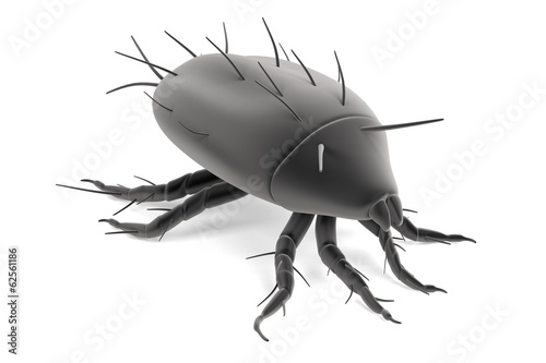 realistic 3d render of mite