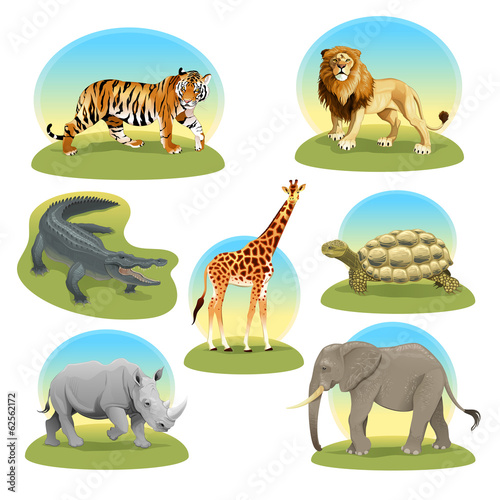 African animals iwith graphic backgrounds. photo