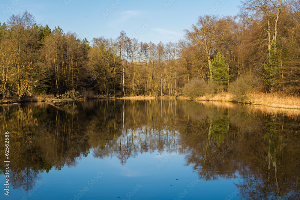 See in der Dübener Heide, Sachsen-Anhalt
