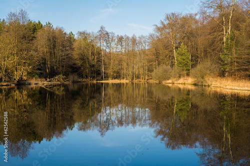 See in der Dübener Heide, Sachsen-Anhalt