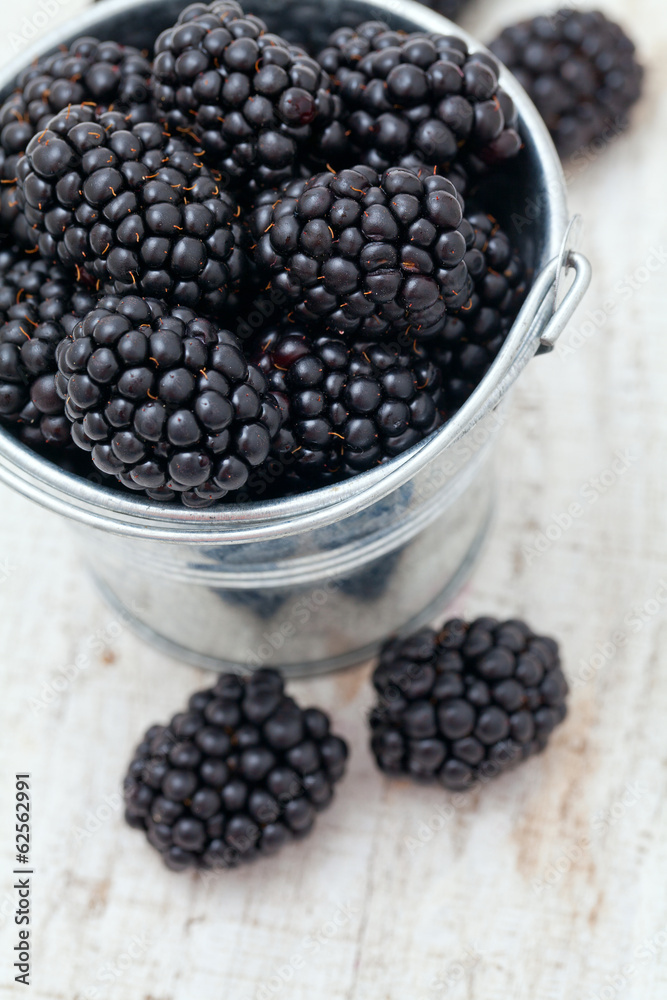 blackberries in a bucket isolated on white background blackberries in a bucket isolated on white background