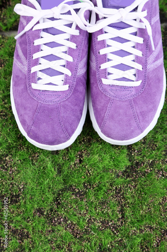 Beautiful gumshoes on green grass background