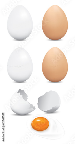 eggs