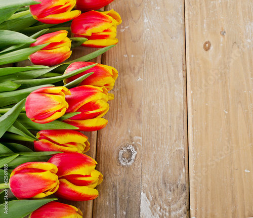 bouquet of the fresh tulips