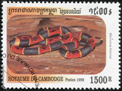 stamp shows Coral Snake - Micrunus fulvius photo