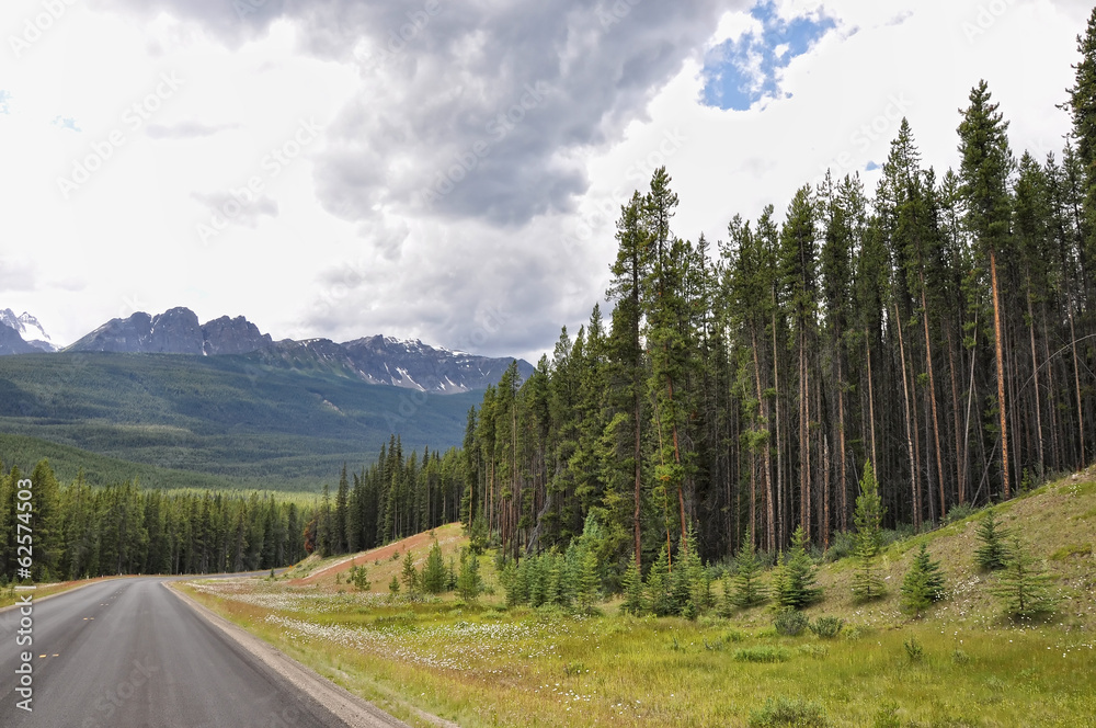 Bow Valley parkway in Canada Rocky Mountains