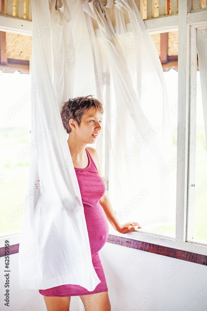 Pregnant woman near the window at home Pregnant woman near the window at home