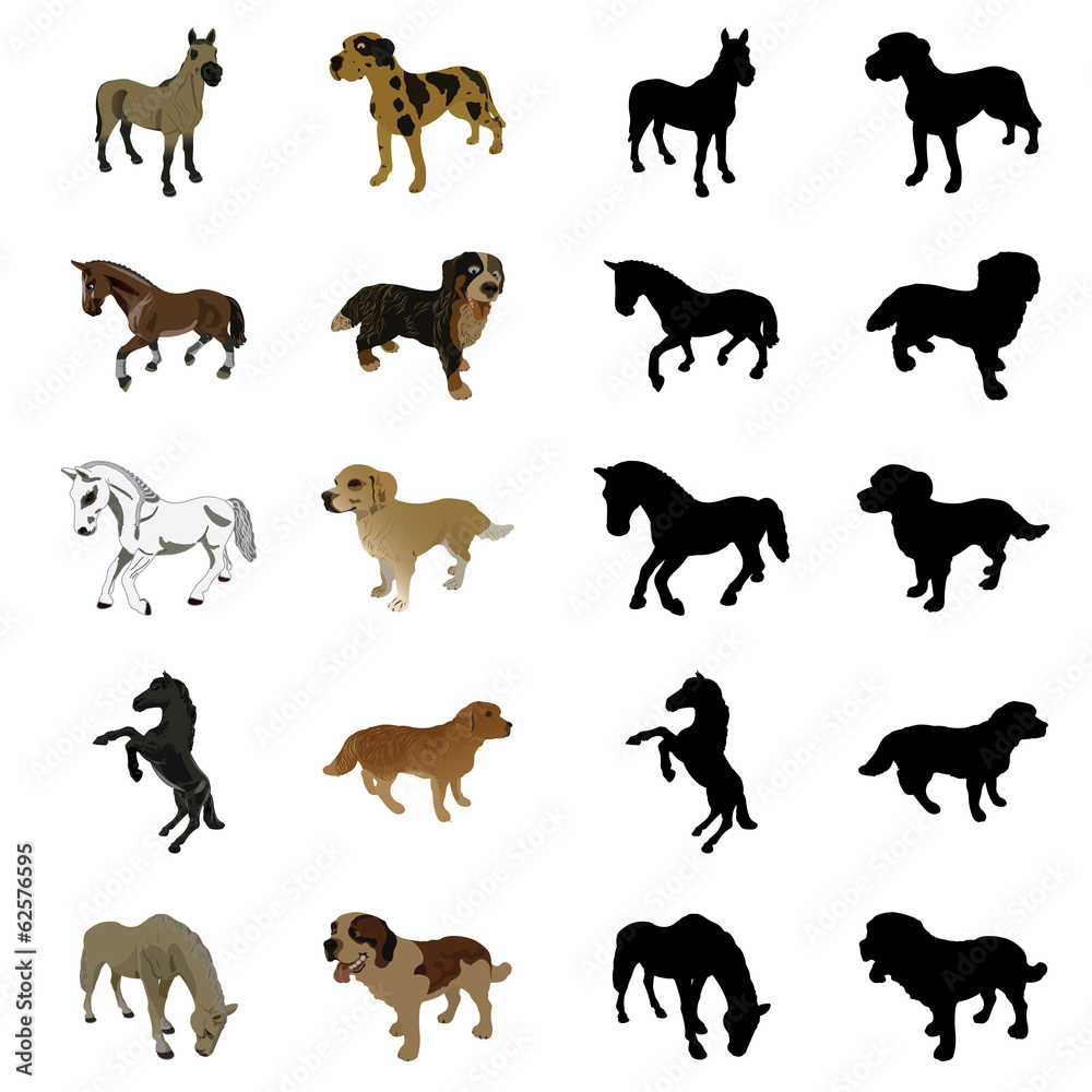 Dogs and horses