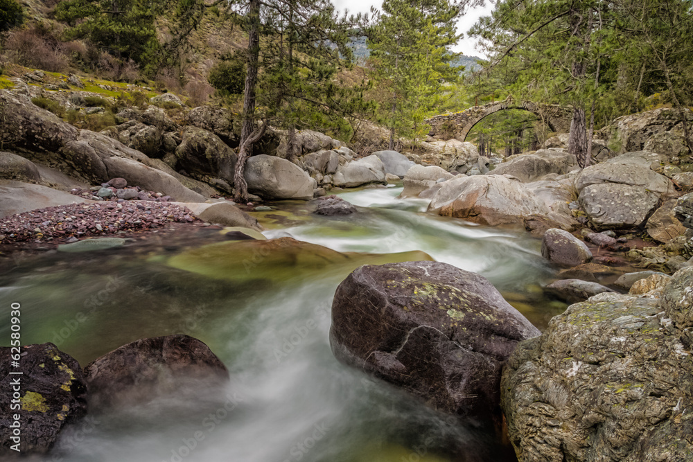 Fototapeta premium The Tartagine river and Genoese bridge in northern Corsica