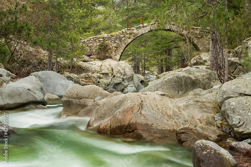 Genoese bridge over Tartagine river in northern Corsica photo