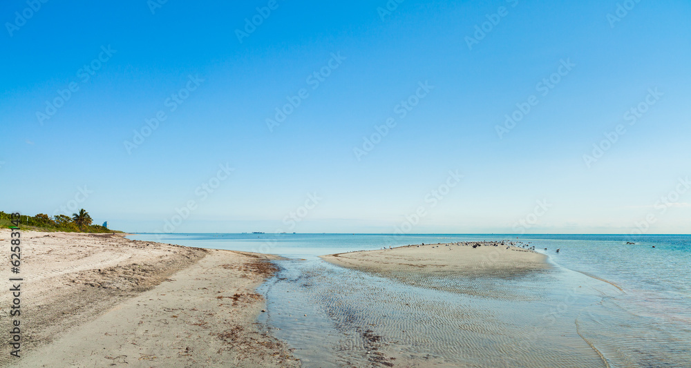 Obraz premium Crandon Park Beach