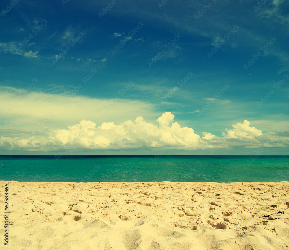 beach and tropical sea