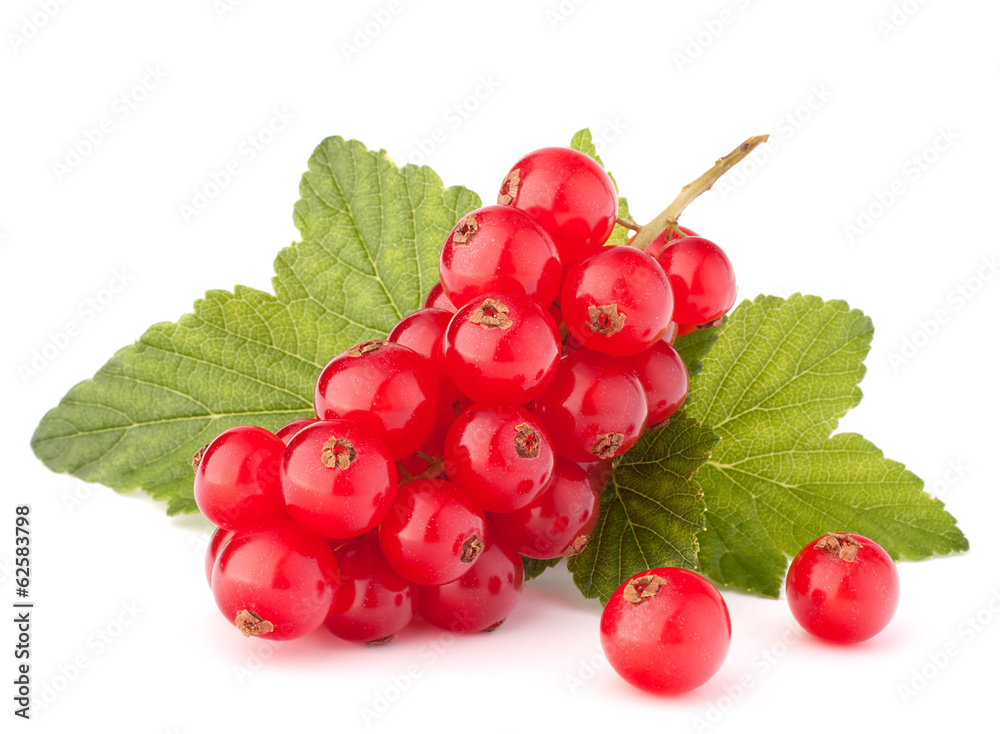 Red currants and green leaves still life Red currants and green leaves still life