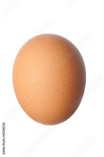 close up of egg isolated on white background