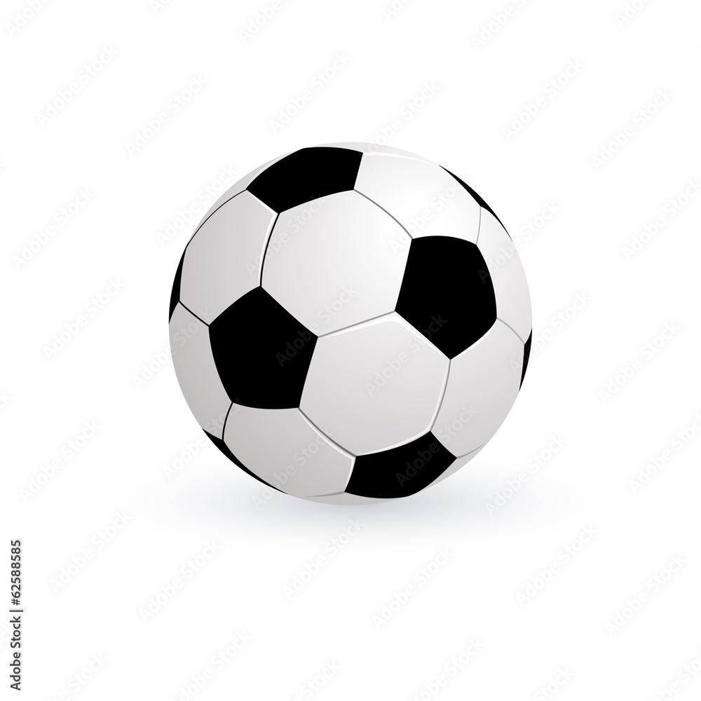 Fototapeta premium Soccer