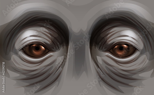 Eyes of an orangutan