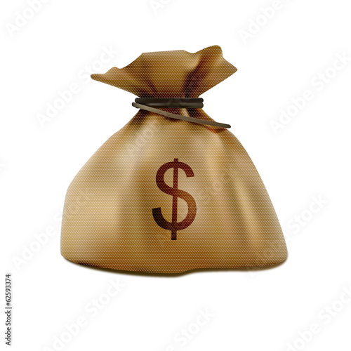 Bag of money colorful realistic icon