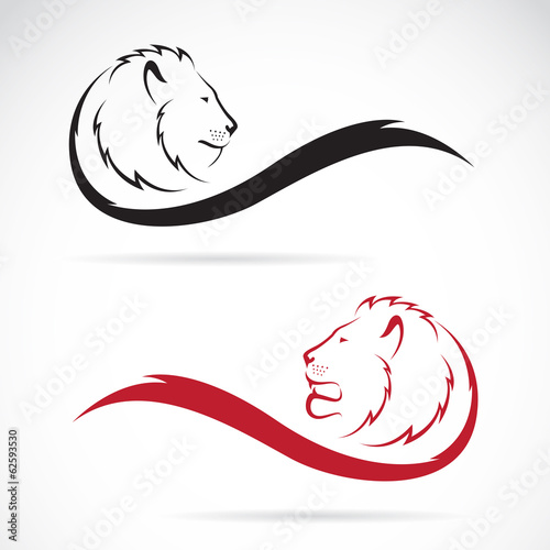 Fototapeta Naklejka Na Ścianę i Meble -  Vector image of an lion head