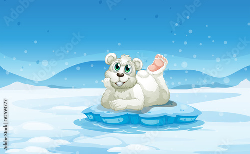 A polar bear above the iceberg