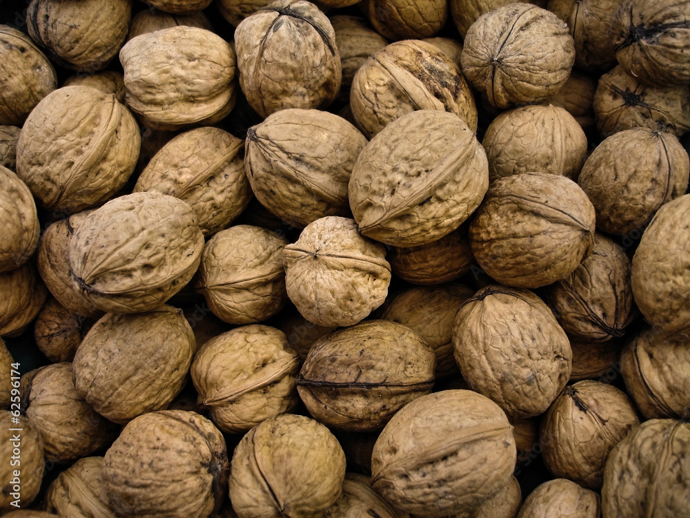 A lot of brown walnuts A lot of brown walnuts