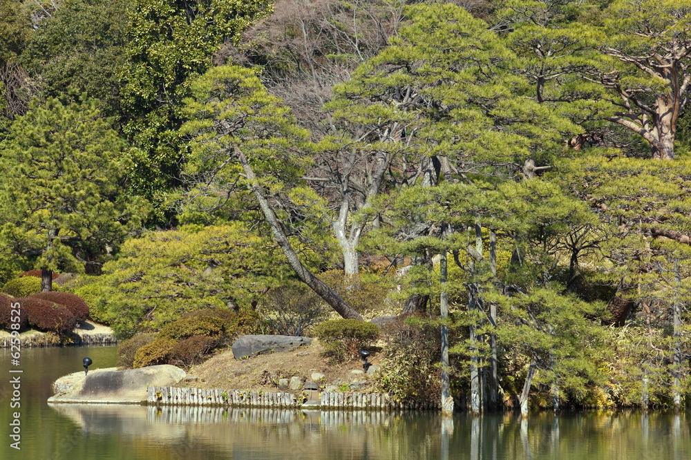 Obraz premium view of japanese garden in spring season
