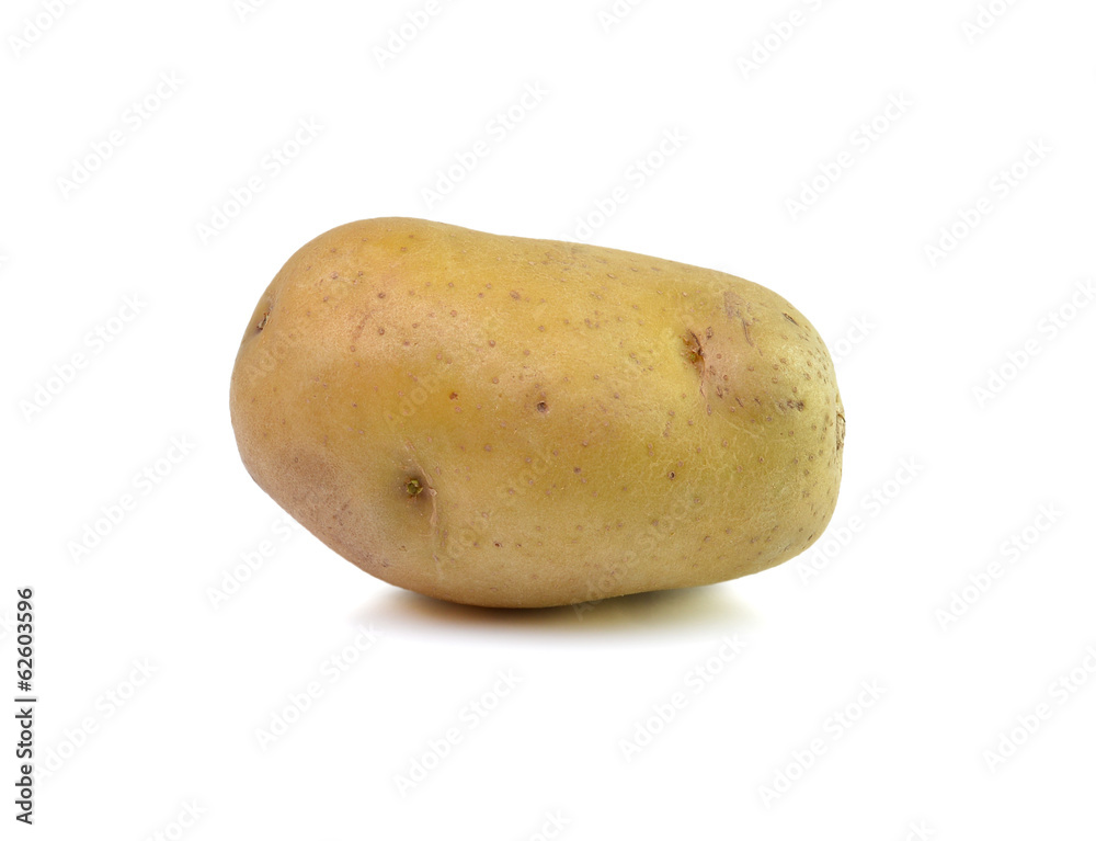 Potato isolated on white background Potato isolated on white background