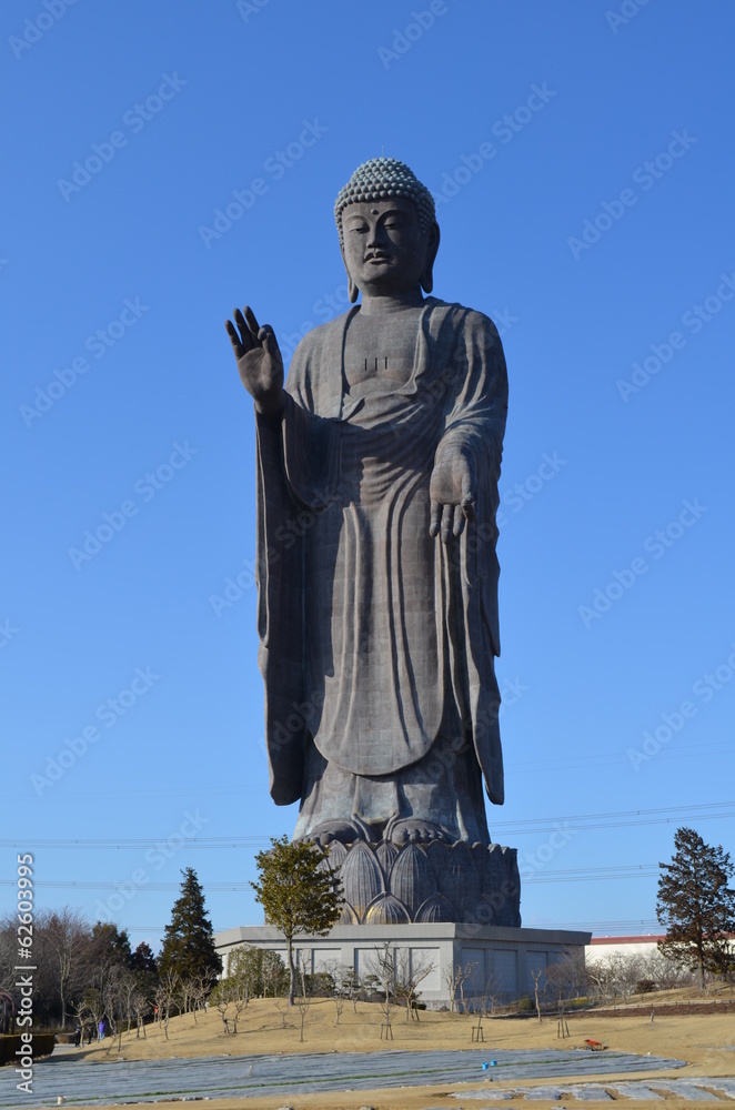 Naklejka premium Giant Buddha Statue in Japan