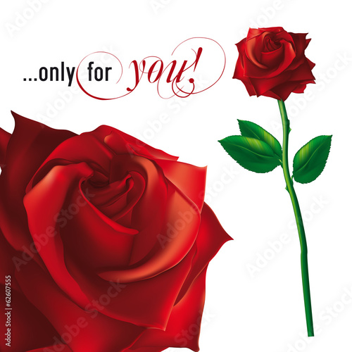 rose