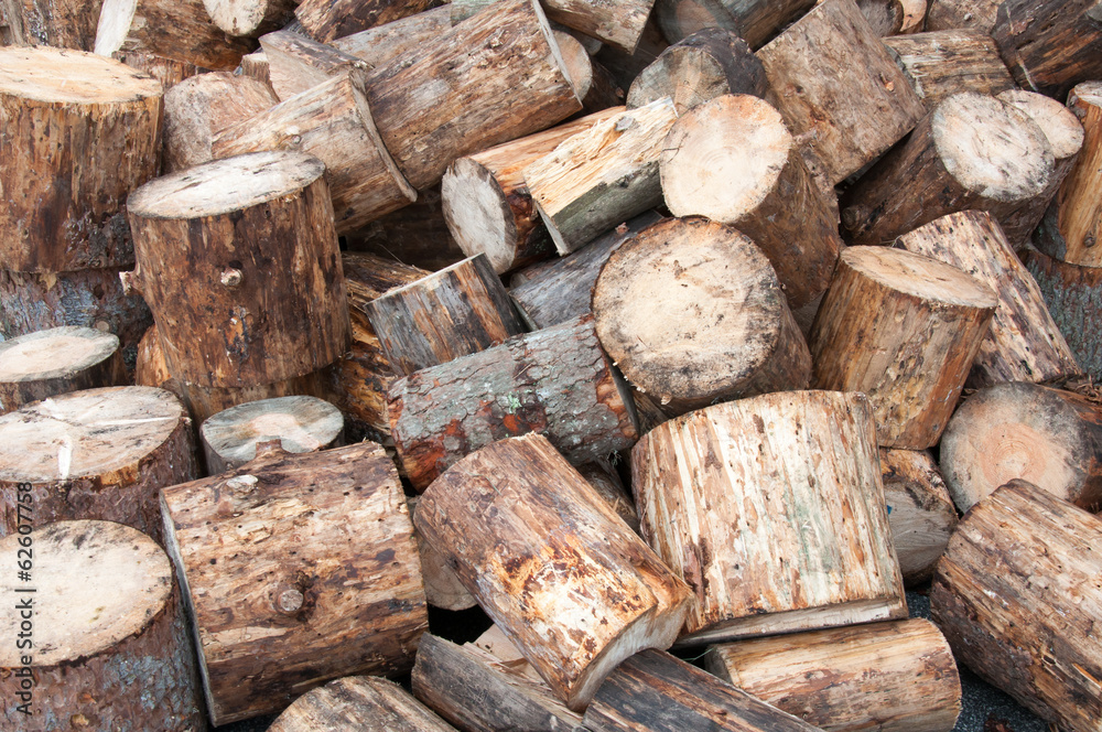 View of firewood logs in a stack View of firewood logs in a stack