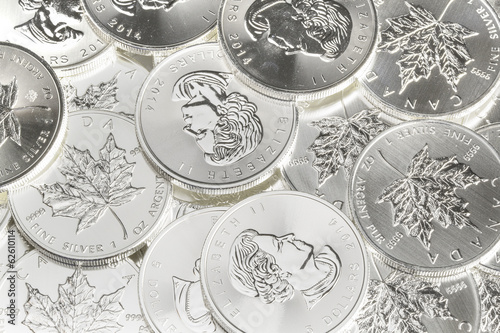 Canadian Silver Maple Leaf Coins