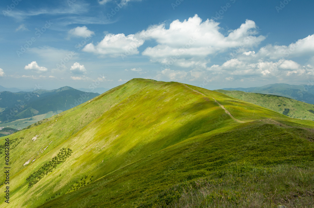 Obraz premium Summer mountains green grass and blue sky landscape.