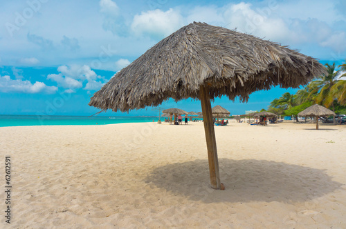 Fototapeta Naklejka Na Ścianę i Meble -  Beautiful beach in Aruba, Caribbean Islands, Lesser Antilles