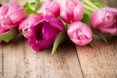 Fototapeta Naklejka Na Ścianę i Meble -  Tulip.