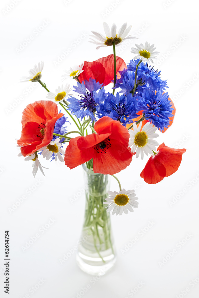Naklejka premium Wildflower bouquet