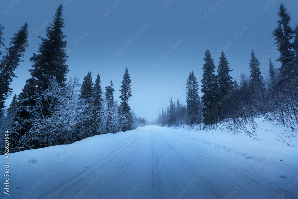 Fototapeta premium night road in winter forest