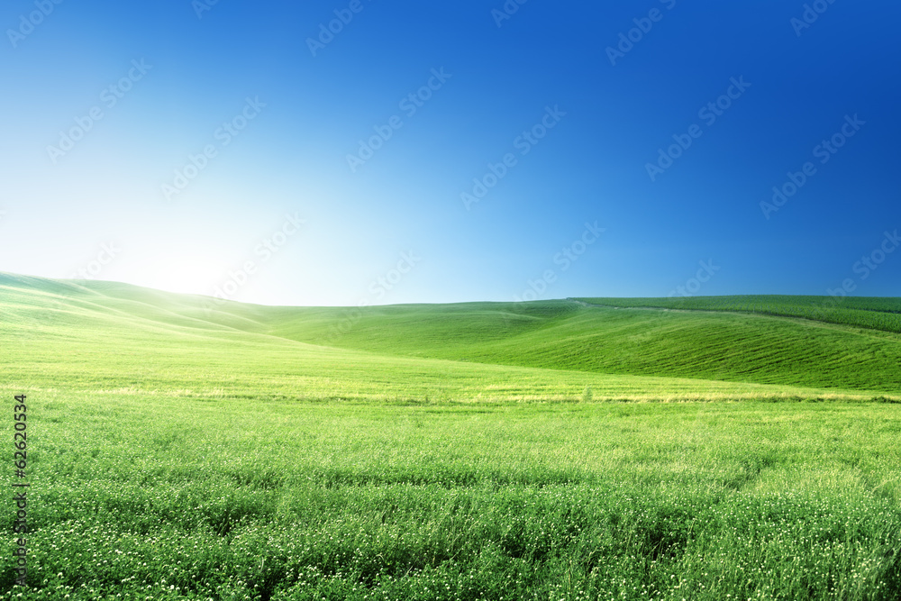 hills in sunny day Tuscany, Italy