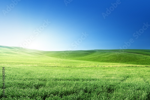 hills in sunny day Tuscany  Italy