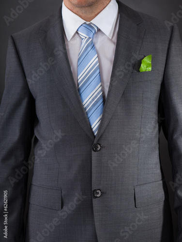Businessman With A Fresh Green Leaf