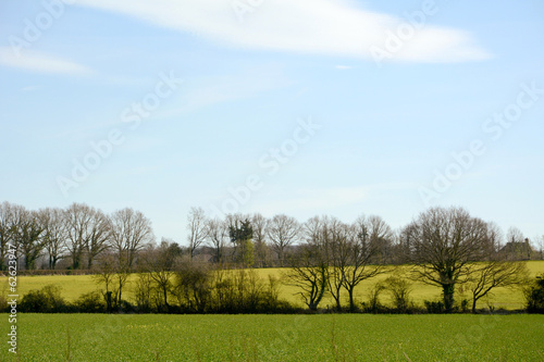 Green fields with new crops in Kent, England © sarahdoow