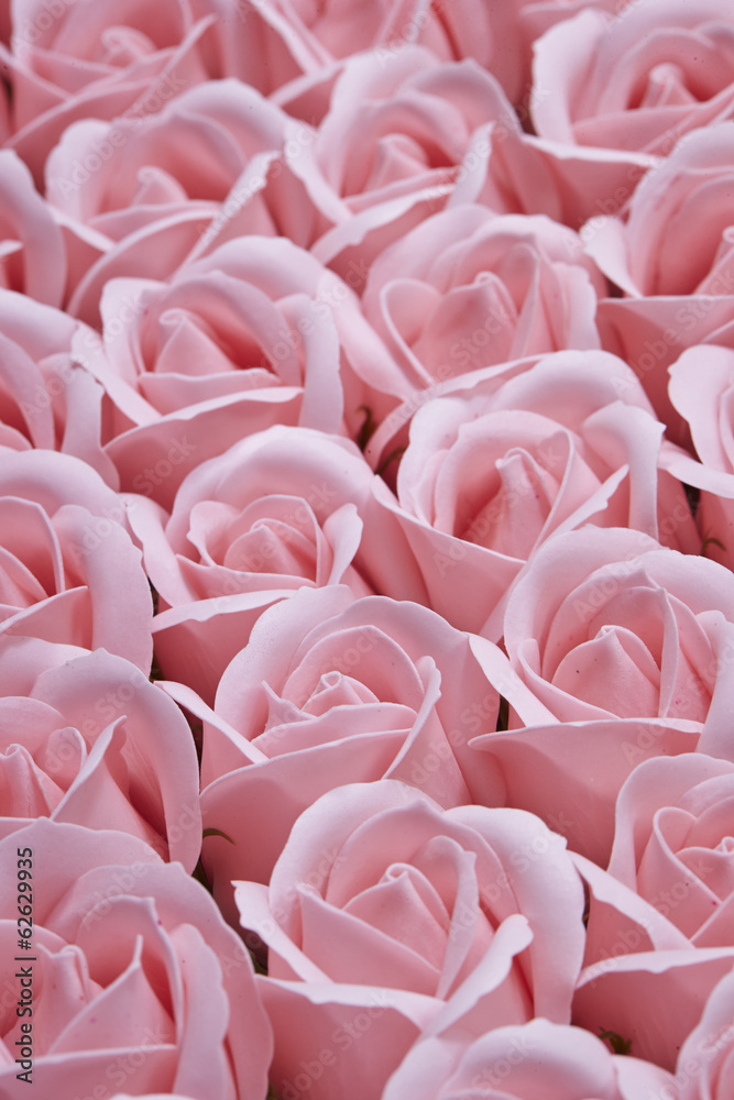 Obraz premium roses